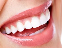 Trong khoang miệng, nướu răng đóng vai trò đặc biệt quan trọng