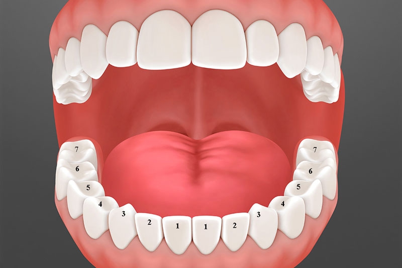 Khi trồng răng cấm, bệnh nhân được tiêm thuốc tê để giảm đau