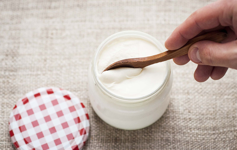 Axit lactic trong sữa chua giúp tăng cường hệ miễn dịch, cải thiện tình trạng viêm lợi