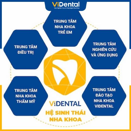 ViDental Clinic trực thuộc Hệ sinh thái ViDental