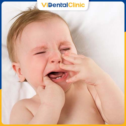 Việc mọc nhiều răng cùng một lúc sẽ khiến bé khó chịu và quấy khóc